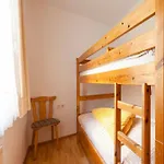 Comfortable In With Garden Mayrhofen