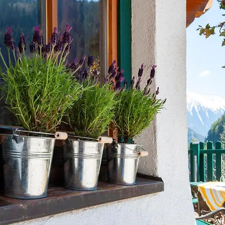 Comfortable In With Garden