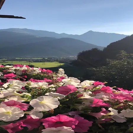 Comfortable In With Garden Διαμέρισμα