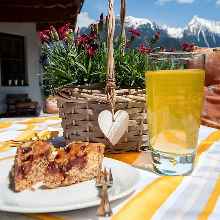 Comfortable In With Garden *