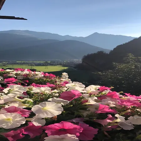 Comfortable In With Garden Apartament Mayrhofen