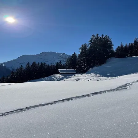 Comfortable In With Garden Apartament