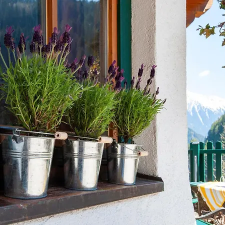 Comfortable In With Garden * Mayrhofen