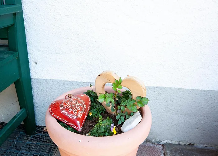 Comfortable In With Garden Appartement