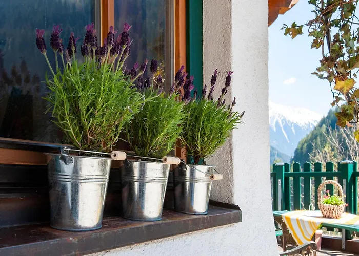 Comfortable In With Garden * Mayrhofen