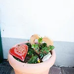 Comfortable In With Garden Apartmán