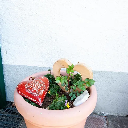 Comfortable In With Garden Apartmán *