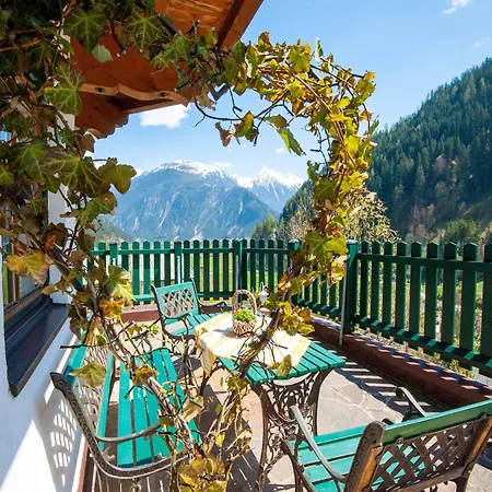 Comfortable In With Garden
