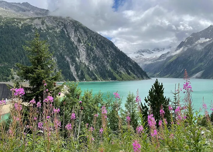 Apartment Comfortable In With Garden