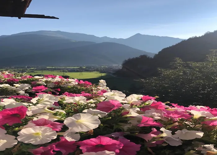 Comfortable In With Garden Apartment Mayrhofen